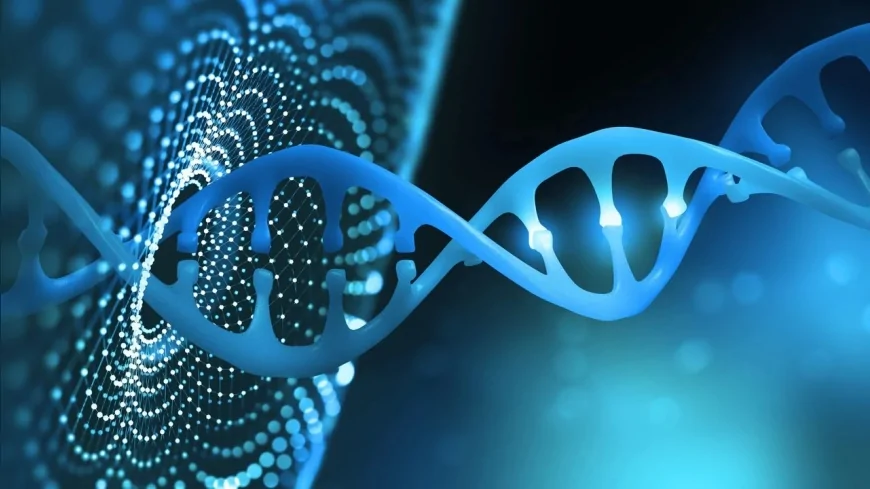 DNA'mızı kodlayarak bedenimizi, hafızamızı ve evrimimizi yeniden tasarlamak mümkün mü?