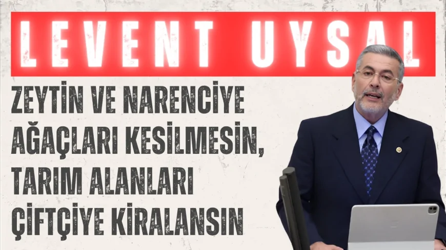 MHP Mersin Milletvekili Levent Uysal: 'Zeytin ve narenciye ağaçları kesilmesin, tarım alanları çiftçiye kiralansın'