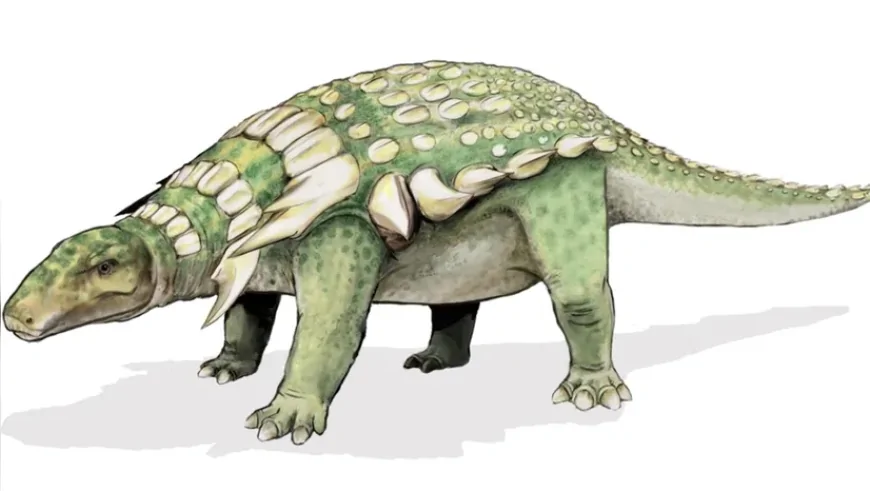 Kanada'da Ortaya Çıkan 100 Milyon Yıllık Fosil, Zırhlı Dinozorların Gizemli Yaşamına Işık Tuttu