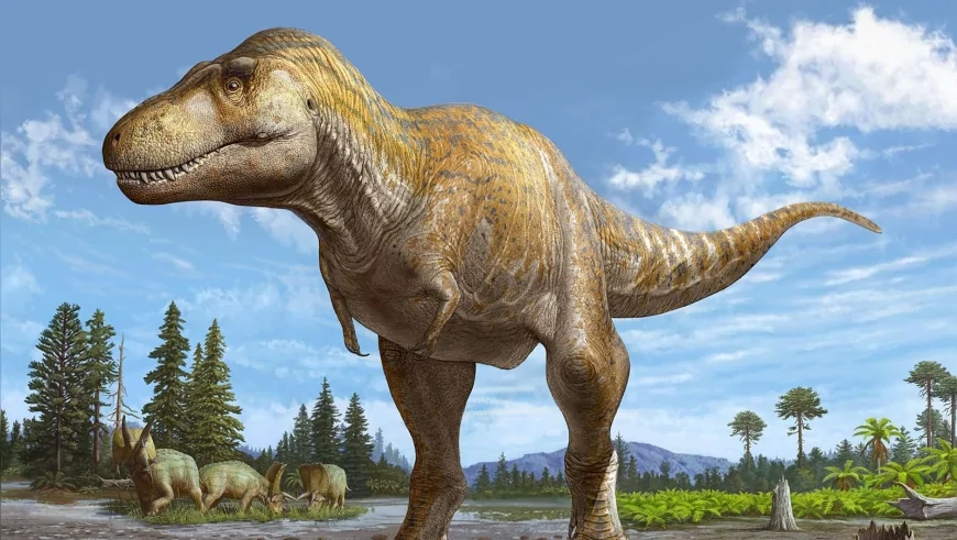 Tyrannosaurus rex’in Yakın Kuzeni Bulundu: 72 Milyon Yıllık Yeni Türe 'T. mcraeensis' Adı Verildi