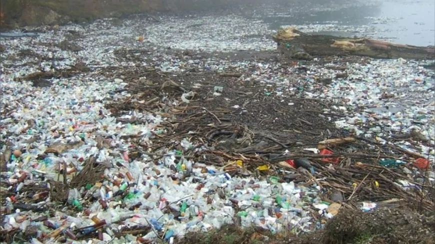 Plastiklerdeki 'Gizli Tehlike': Milyonlarca Ölümle Bağlantılı Kimyasal Gündemde
