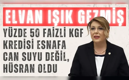 CHP Giresun Milletvekili Elvan Işık Gezmiş: 'Yüzde 50 faizli KGF kredisi esnafa can suyu değil, hüsran oldu'