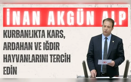 CHP Kars Milletvekili İnan Akgün Alp: 'Kurbanlıkta Kars, Ardahan ve Iğdır hayvanlarını tercih edin'
