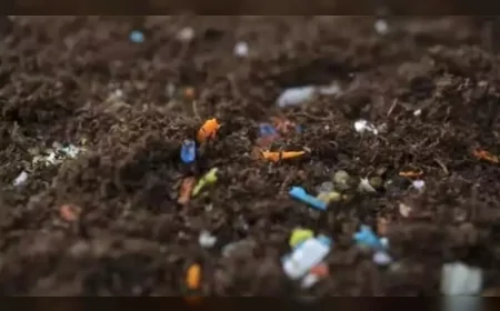 Tarım Yoluyla Soframıza Giren Mikroplastikler İnsan Sağlığını Sessizce Tehdit Ediyor