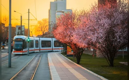 Eskişehir’de Kurban Bayramı Boyunca Toplu Taşıma Ücretsiz Olacak