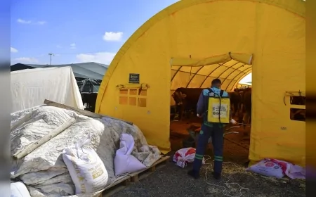 Ankara’da yaz öncesi kapsamlı ilaçlama seferberliği: Haşerelere karşı 7/24 mücadele başlatıldı