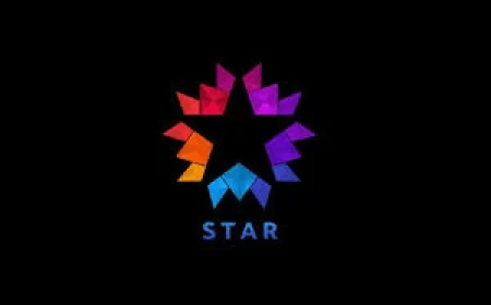 Star TV'nin sevilen dizisi final yaptı: Yayın hayatına veda etti