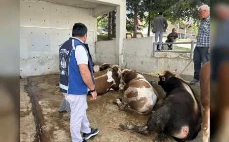 Altındağ’da Kurbanlıklar Mercek Altında: Bayrama Saatler Kala Denetimler Artırıldı