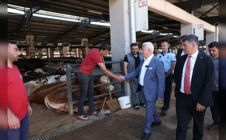 Bozbey'den Kurban Uyarısı: 'Atıkları doğaya atmak kabul edilemez'