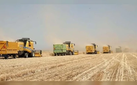 TMO buğday ve arpa alım fiyatlarını duyurdu: Üreticiye 16 bin TL’ye kadar ödeme yapılacak
