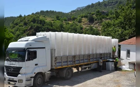 Antalya’da ipek böceği üretimine dev destek: 51 üreticiye 1250 besleme tablası hibe edildi