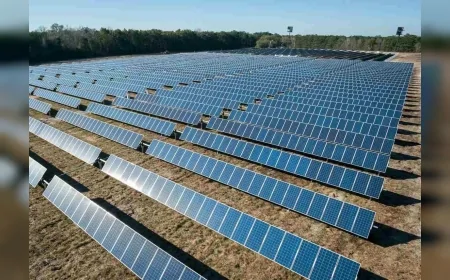 Türk Telekom'dan dev enerji hamlesi: GES ile 405 megavatlık üretim hedefi