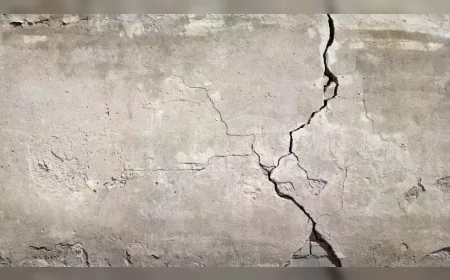 Bilim insanları sentetik likenle çatlakları onaran beton geliştirdi: 'Yalnızca hava, ışık ve suyla çalışıyor'