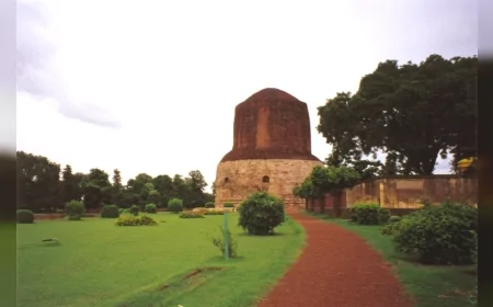 Budizm'in kalbi Sarnath'taki Geyik Parkı neden bu kadar kutsal kabul ediliyor?