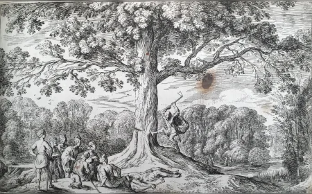 Keltlerde Meşe Ağacının Sırrı: Yaşamın ve Bilgeliğin Simgesi Olarak Kutsal Bir Ağaç