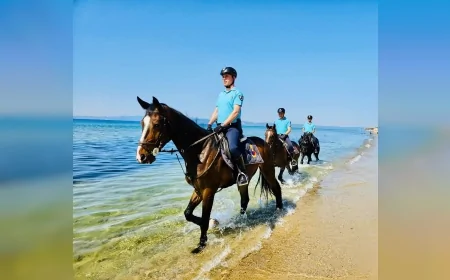 Ayvalık’ta Plaj ve Ormanlara Atlı Jandarma Görevi: 'Heybet', 'Manas' ve 'Yankı' Devriyede