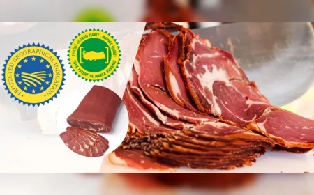 Mayıs Ayında Serbest Bölgelerden 1,18 Milyar Dolarlık İhracat: Tüm Zamanların En Yüksek Seviyesi Kaydedildi