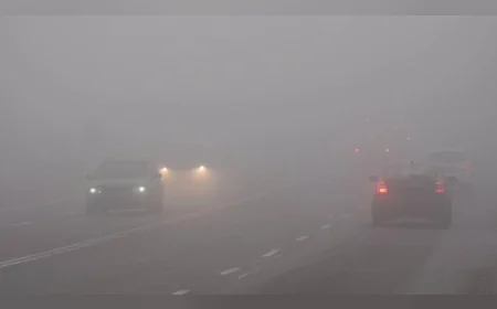 Islak Yol, Sisli Hava, Buzlanma: Fren Mesafesini Uçuruma Çeviren Hava Şartları