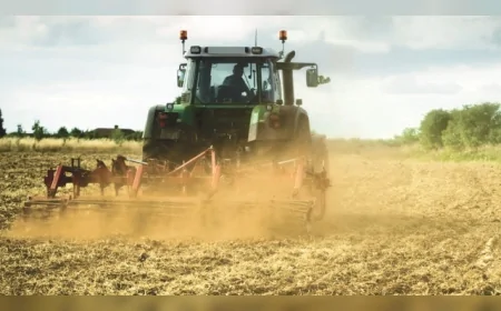 Çiftçiye don desteği büyüyor: Devlet sigortasına yüzde 67 prim katkısı geldi