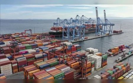 Serbest bölgeler ihracatta rekor kırdı: Dış ticaret fazlası 456 milyon dolara ulaştı