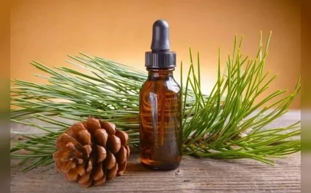 Saç Dökülmesini Durdurmanın 6 Etkili Yolu: Bitkisel Yağdan Şampuana, İşte Tüm Çözüm Önerileri