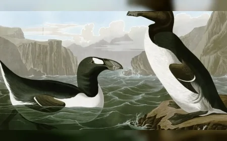 1800'lerde tüy ve et ticareti nedeniyle yok edilen büyük penguenin hikâyesi dikkat çekiyor