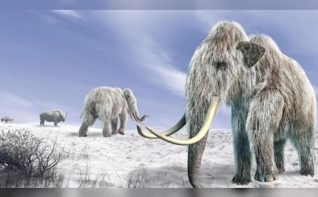 Buz Devri Sonrası Değişen İklim ve İnsan Avcılığı Mamutların Soyunu Tüketti