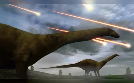 65 Milyon Yıl Önce Gerçekleşen Dev Asteroid Çarpması Dinozorların Sonunu Getirdi