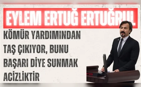 CHP’li Eylem Ertuğ Ertuğrul: ‘Kömür yardımından taş çıkıyor, bunu başarı diye sunmak acizliktir’