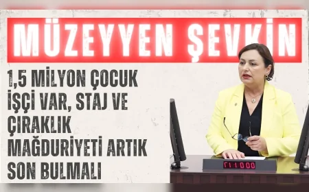 CHP’li Müzeyyen Şevkin: ‘1,5 milyon çocuk işçi var, staj ve çıraklık mağduriyeti artık son bulmalı’