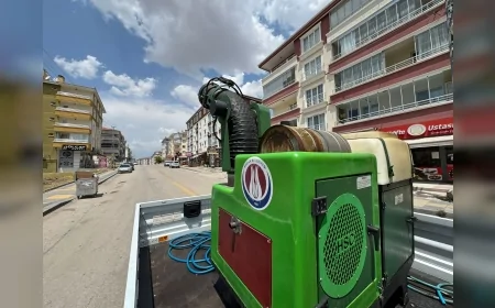 Sincan Belediyesi yaz boyunca kene ve haşerelere karşı alarma geçti