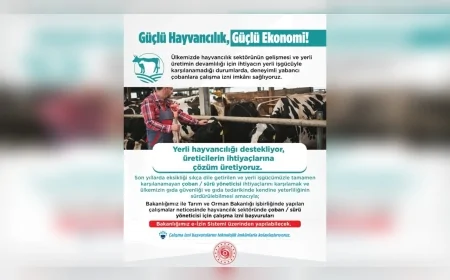 Yabancı Çoban ve Hayvan Bakıcıları İçin Çalışma İzni Başvuruları Başladı: İşte Süreç ve Kriterler