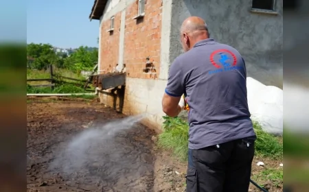 Düzce'de korkutan uyarı: 'Asya Kaplan Sivrisineği' alarmı verildi!