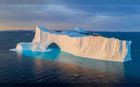 Grönland'daki buzullar mayıs ayında 17 kat hızla eridi, iklim değişikliği etkileri arttı