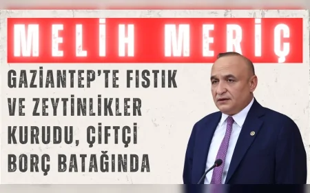 CHP’li Melih Meriç: ‘Gaziantep’te fıstık ve zeytinlikler kurudu, çiftçi borç batağında’