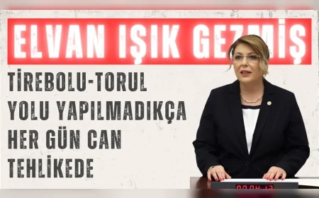 CHP’li Elvan Işık Gezmiş: ‘Tirebolu-Torul yolu yapılmadıkça her gün can tehlikede’