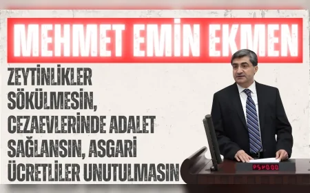 DEVA Partili Mehmet Emin Ekmen: ‘Zeytinlikler sökülmesin, cezaevlerinde adalet sağlansın, asgari ücretliler unutulmasın’