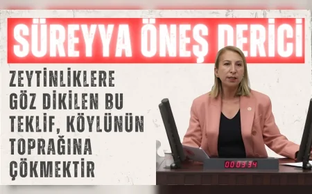 CHP’li Süreyya Öneş Derici: ‘Zeytinliklere göz dikilen bu teklif, köylünün toprağına çökmektir’