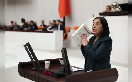 CHP Eskişehir Milletvekili Jale Nur Süllü: 'İklim Yasası yeşil badana, Maden Yasası ise toprağımızı yok ediyor'