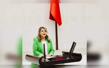 CHP Giresun Milletvekili Elvan Işık Gezmiş: 'Asıl kamu yararı toprağı, suyu, havayı korumaktır; fındık bahçelerimizden elinizi çekin!'