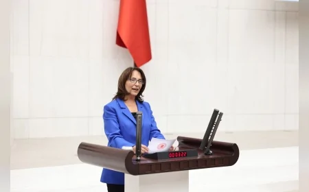 CHP Ankara Milletvekili Aliye Timisi Ersever: 'Zeytin sadece ağaç değil, bu toprağın belleğidir; geçmişi ve geleceği yok ediyorsunuz'