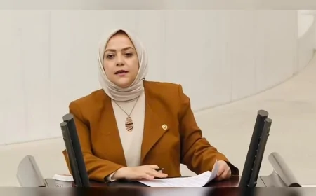 Gelecek Partili Sema Silkin Ün: ‘İsrail ordusunda görev alan çifte vatandaşlar Türkiye için potansiyel Mossad casusudur’