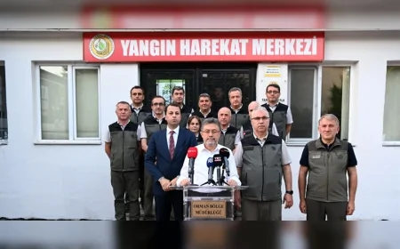 Orman yangınlarında 6 kritik nokta aktif, 367 kişi tahliye edildi, 3 gözaltı var