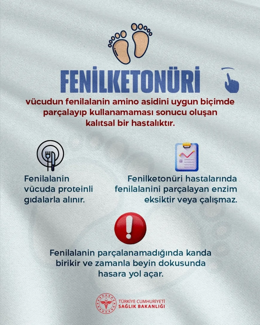 Türkiye’de Her 25 Kişiden Biri Taşıyıcı: Fenilketonüri Erken Tanı Olmazsa Beyin Hasarına Yol Açıyor