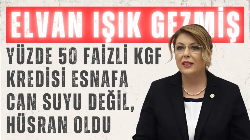 CHP Giresun Milletvekili Elvan Işık Gezmiş: 'Yüzde 50 faizli KGF kredisi esnafa can suyu değil, hüsran oldu'