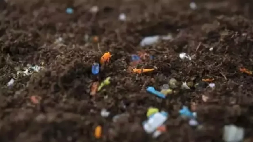 Tarım Yoluyla Soframıza Giren Mikroplastikler İnsan Sağlığını Sessizce Tehdit Ediyor