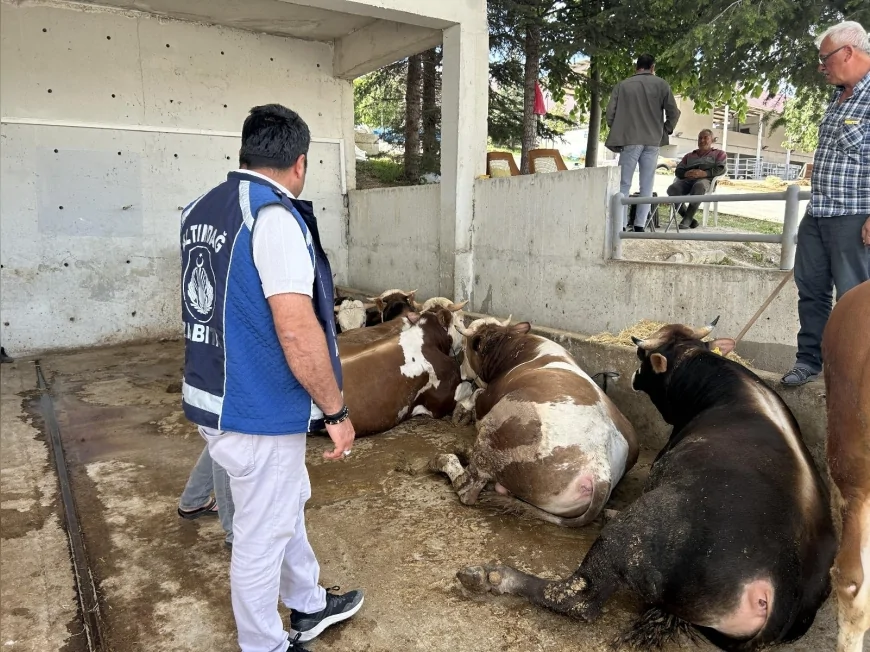 Altındağ’da Kurbanlıklar Mercek Altında: Bayrama Saatler Kala Denetimler Artırıldı