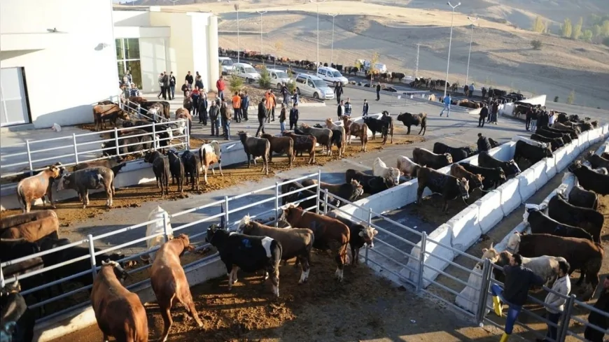 Altındağ’da Kurban Kesimi Sadece Bu 7 Noktada Yapılabilecek