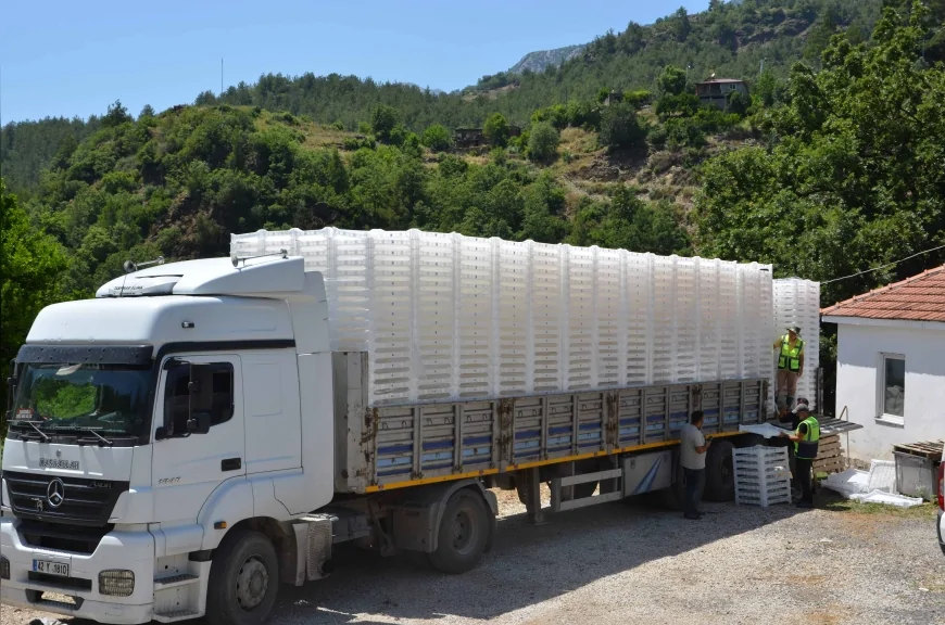 Antalya’da ipek böceği üretimine dev destek: 51 üreticiye 1250 besleme tablası hibe edildi