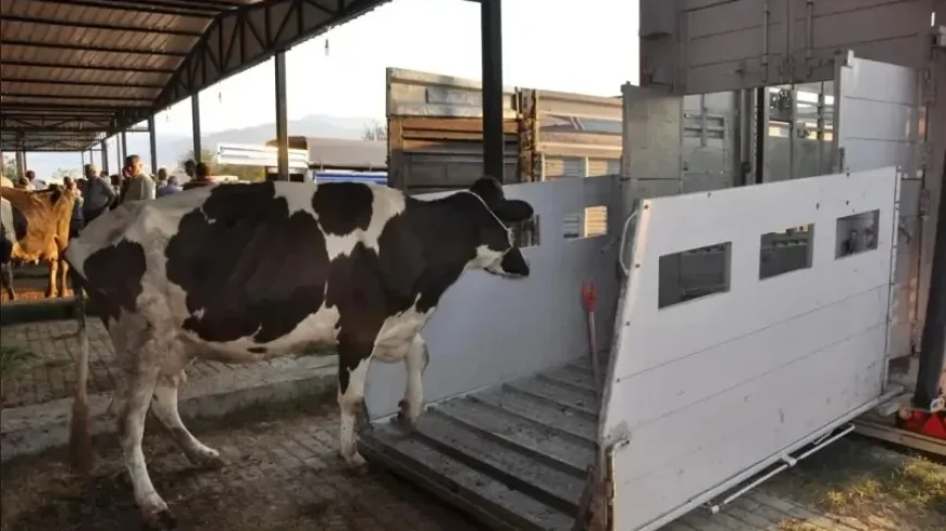 Hayvan sevkiyatına dijital rota ve kontrol zorunluluğu getirildi